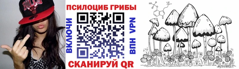 Купить где  Ленинск-Кузнецкий  Галлюциногенные грибы MAGIC MUSHROOMS 