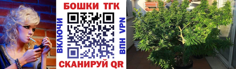 Шишки марихуана марихуана  Купить закладки  Ленинск-Кузнецкий 